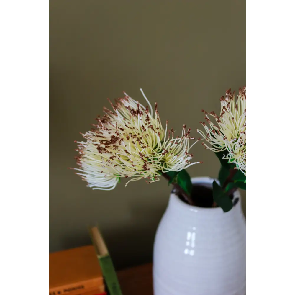Cream Protea Nitida Spray