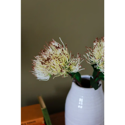 Cream Protea Nitida Spray