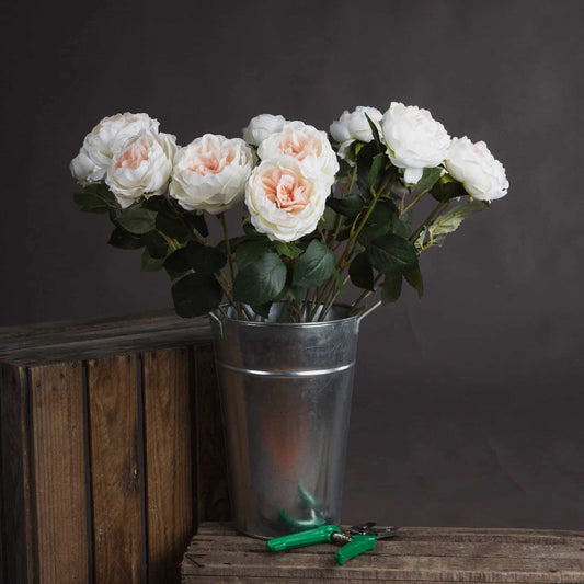 Blush Garden Rose Stem image 1