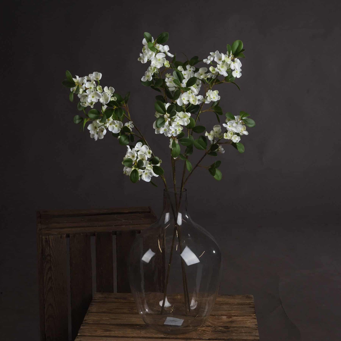 White Spring Mock Orange Flower image 3