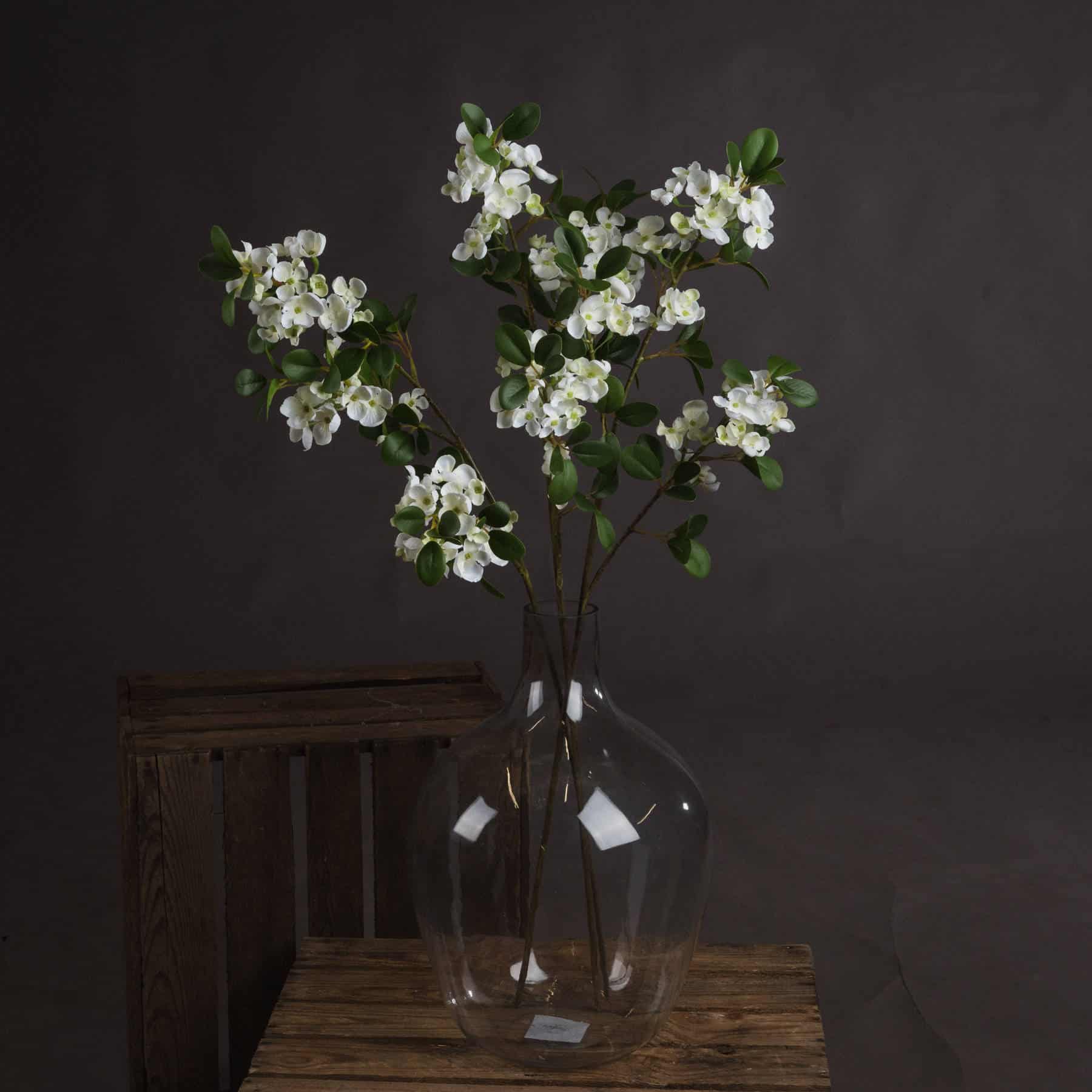 White Spring Mock Orange Flower image 3