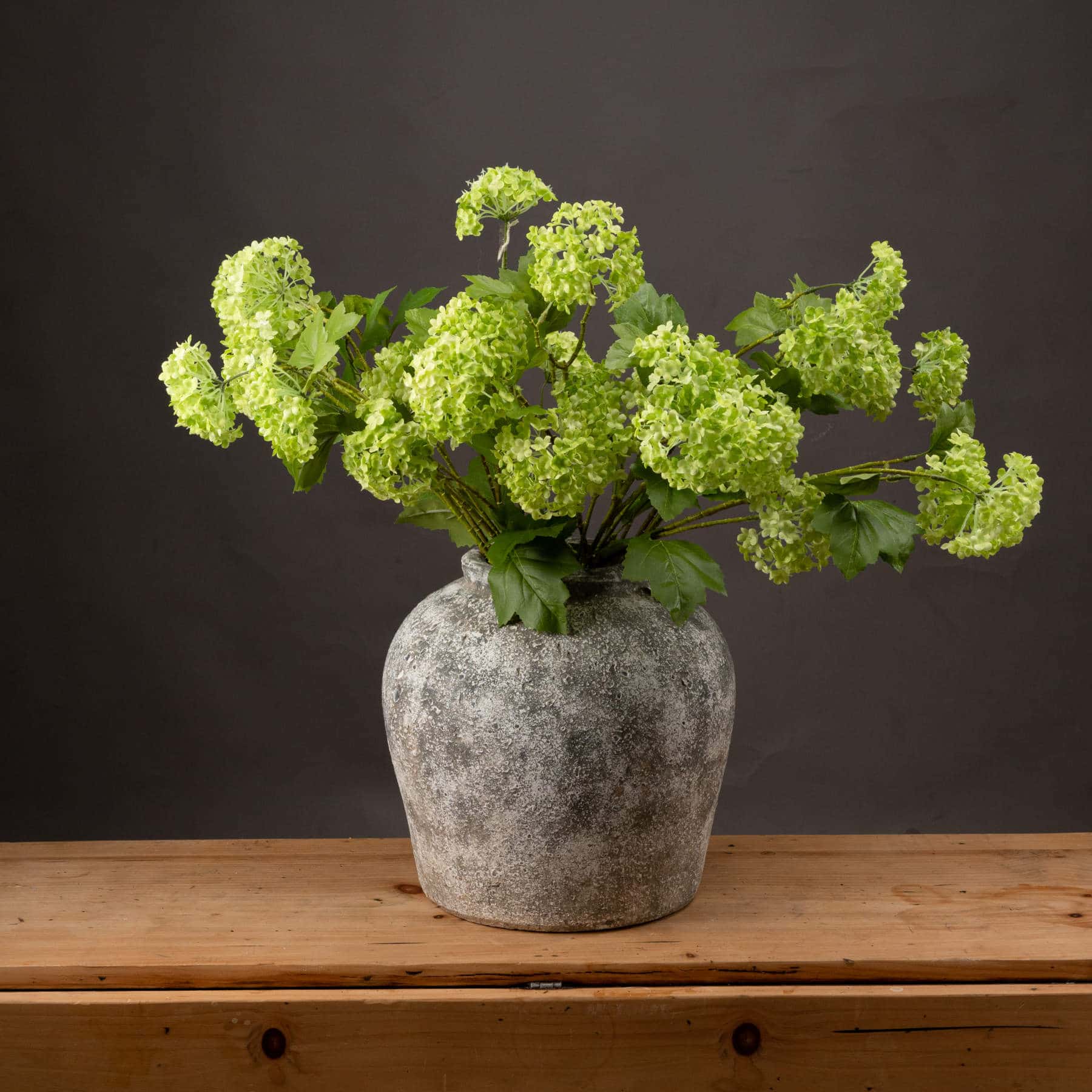 Green Viburnum Spray image 1