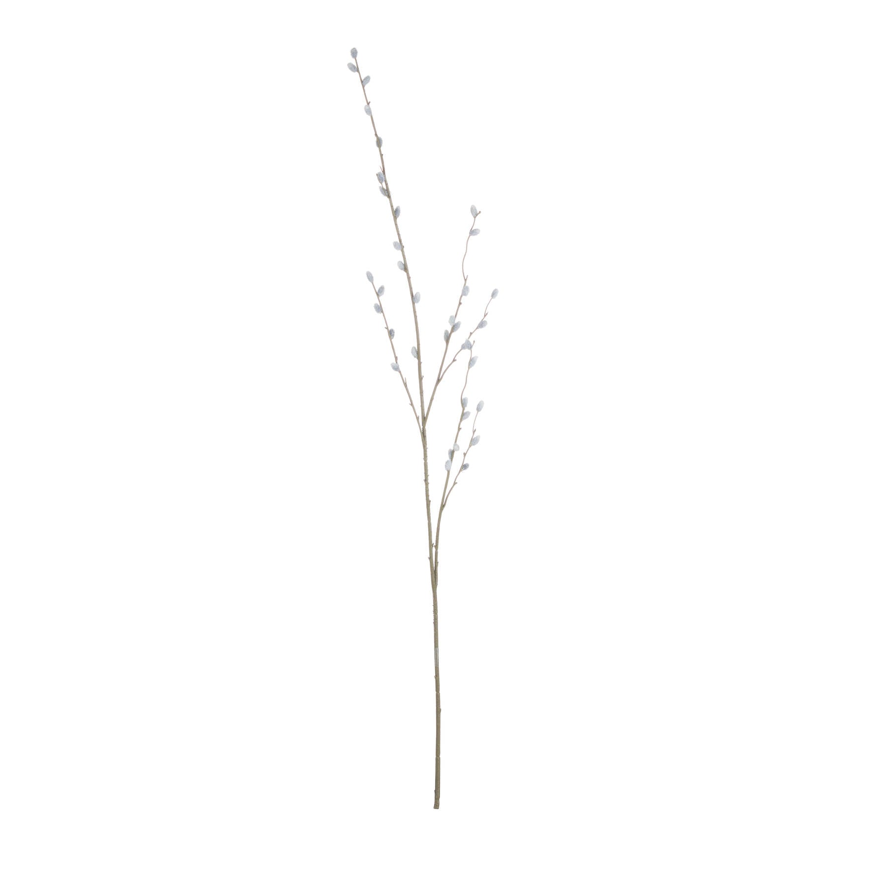 Pussy Willow Branch image 1