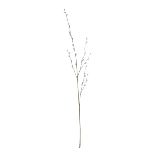 Pussy Willow Branch image 1