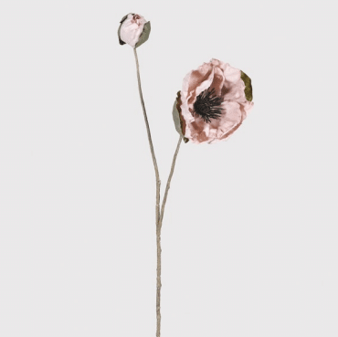 Dusky Pink Poppy Spray image 0