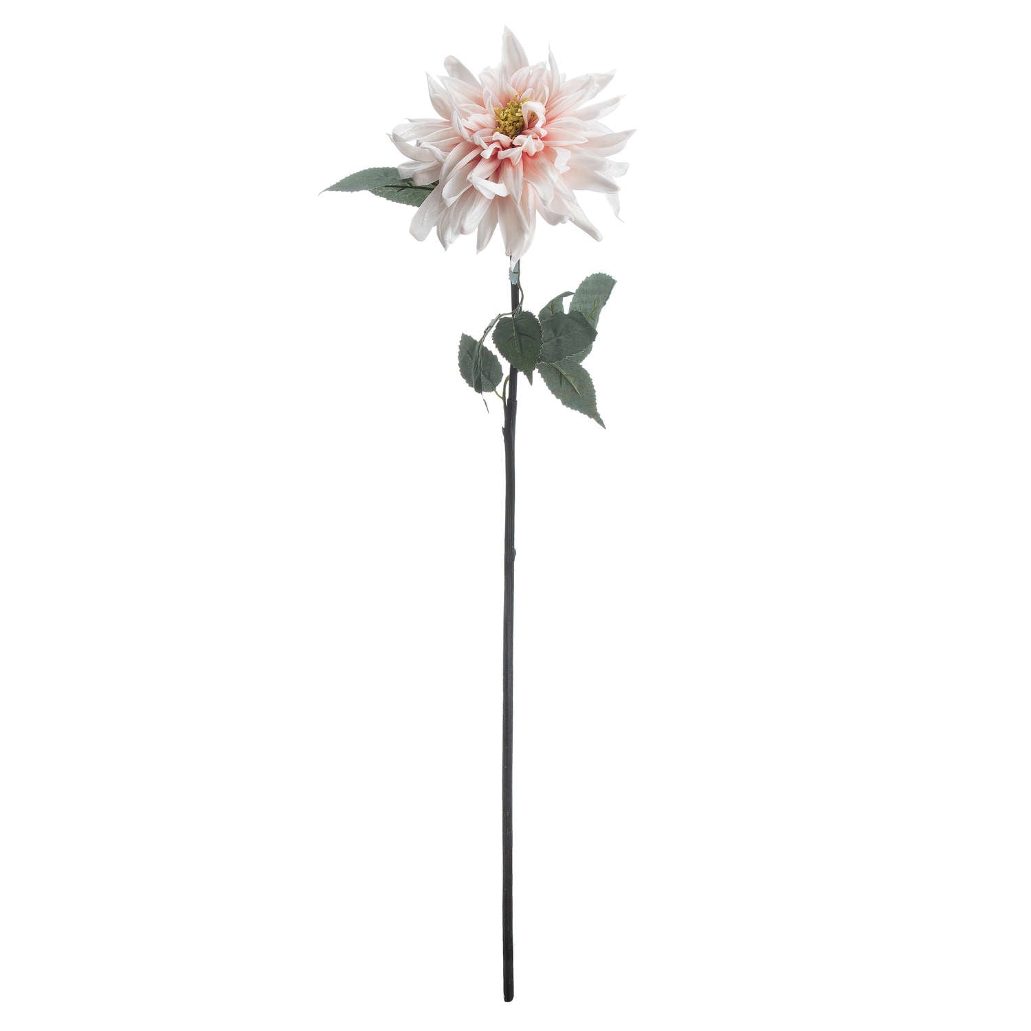 Lush Pink Dahlia Stem image 0
