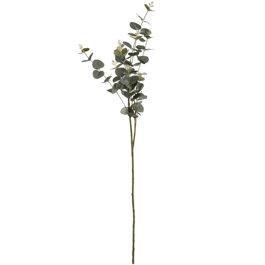 Eucalyptus Spray image 2