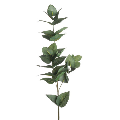 Eucalyptus Filler image 0