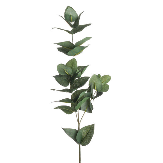 Eucalyptus Filler image 0