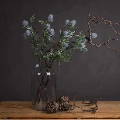 Eryngium Blue Thistle image 1