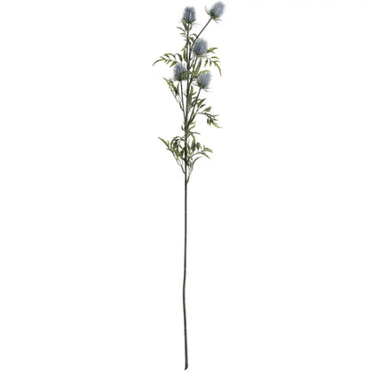 Eryngium Blue Thistle image 3
