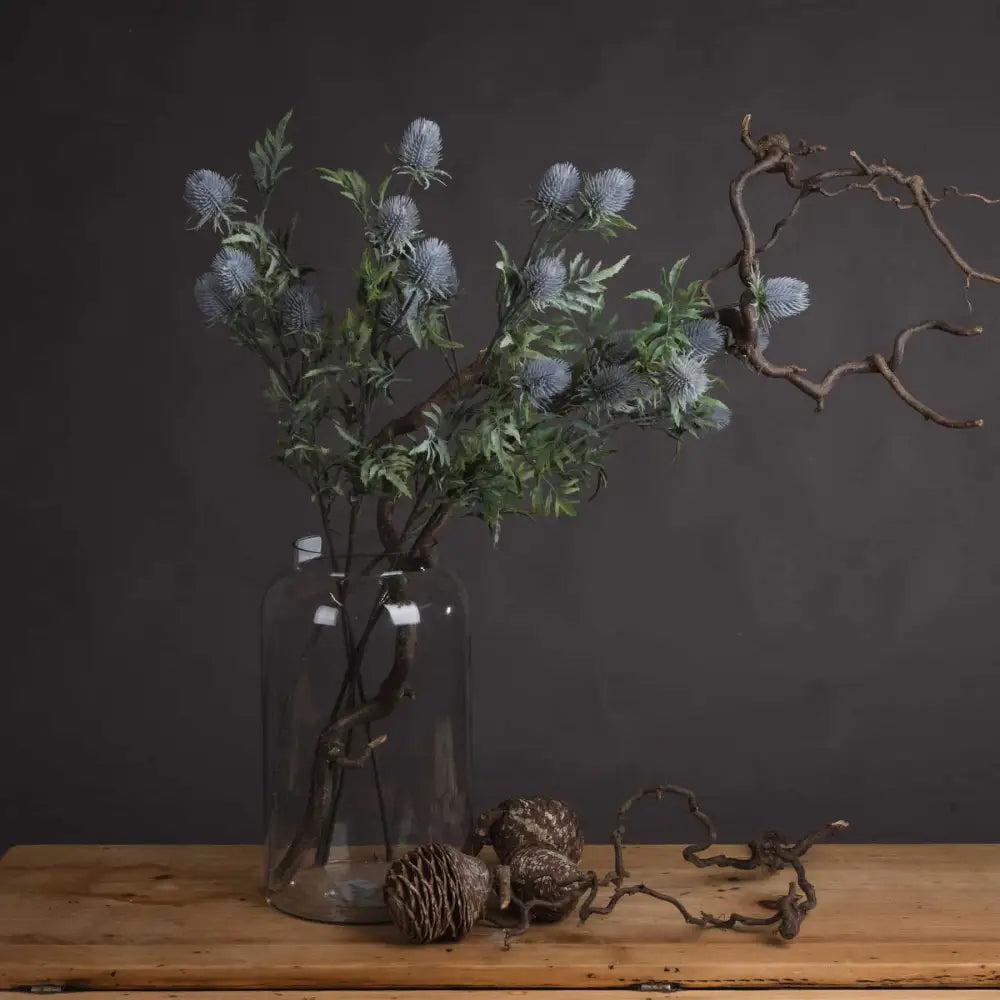 Eryngium Blue Thistle image 1