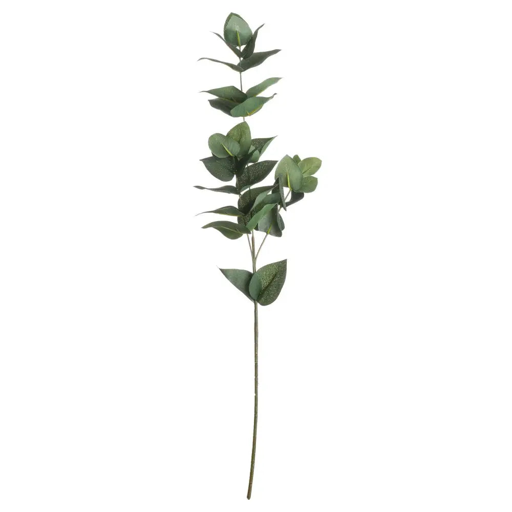 Eucalyptus Filler image 3