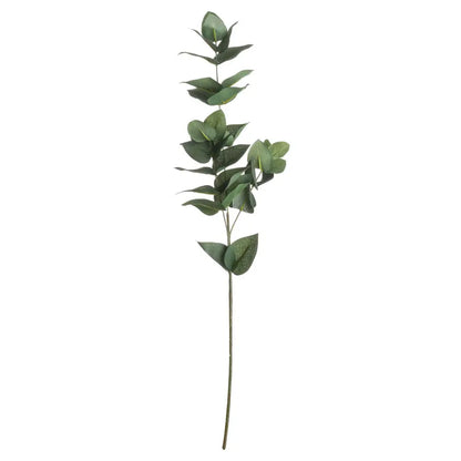 Eucalyptus Filler image 3