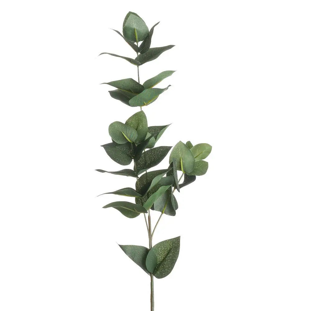 Eucalyptus Filler image 0