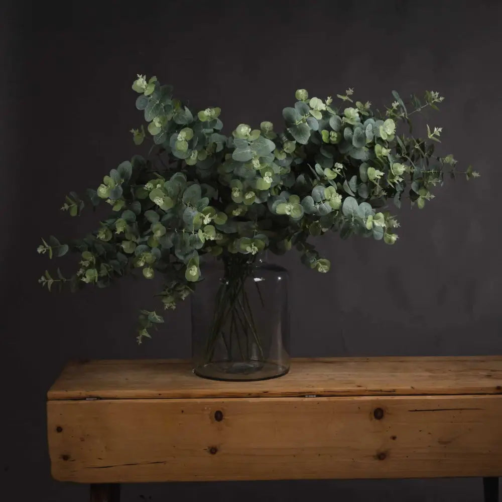 Eucalyptus Spray image 0