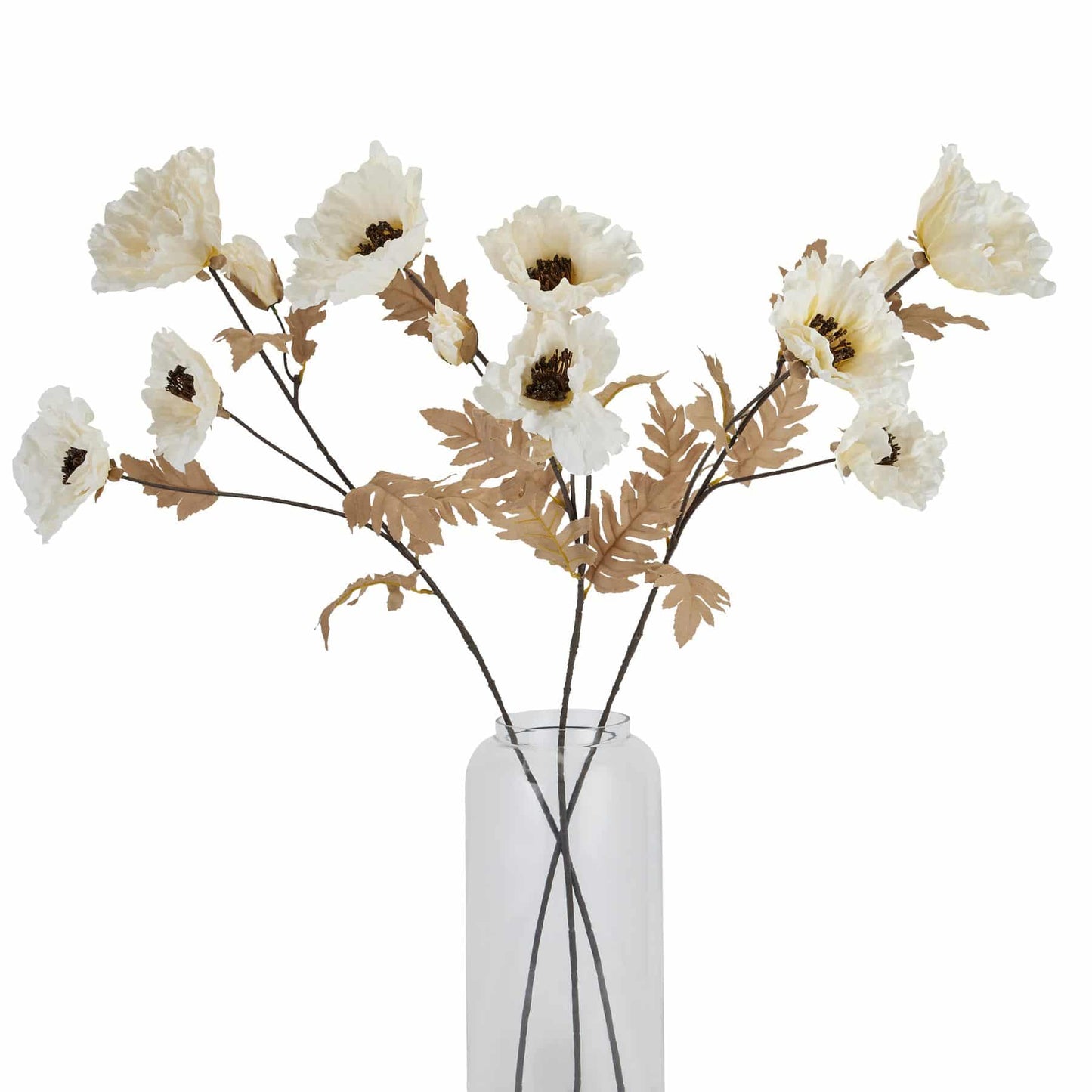 Large White Poppy Stem image 1