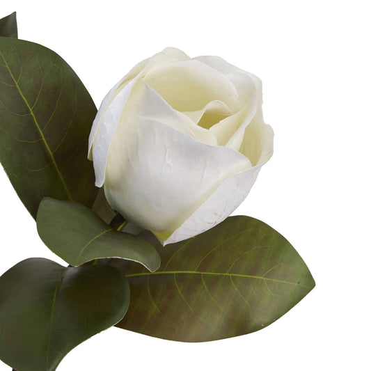 White Magnolia Stem image 1