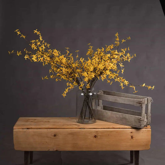 Forsythia image 1