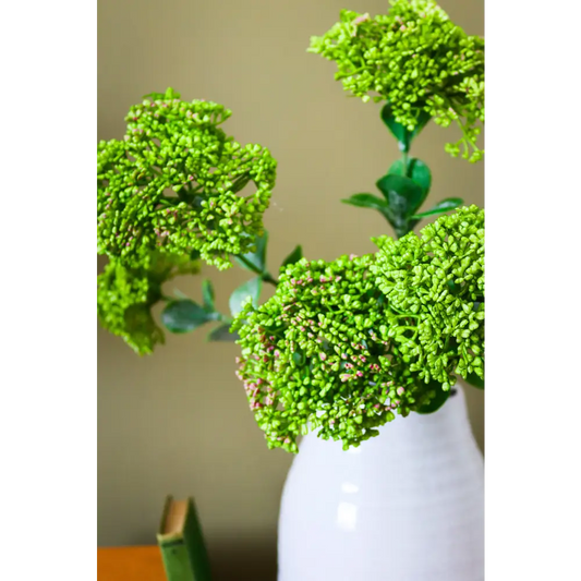 Green Sedum Spray