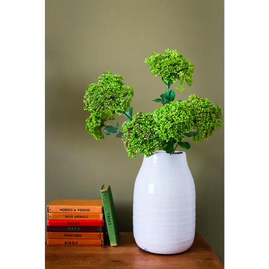 Green Sedum Spray