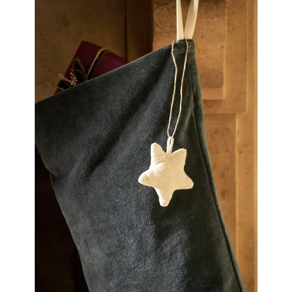 Hyde Christmas Stocking Fern