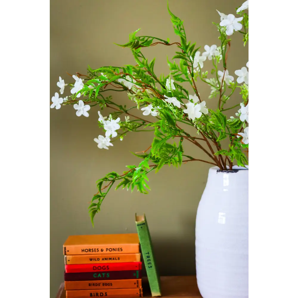 Italian White Bellflower