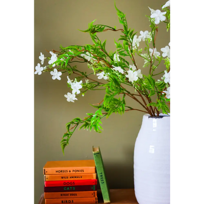 Italian White Bellflower