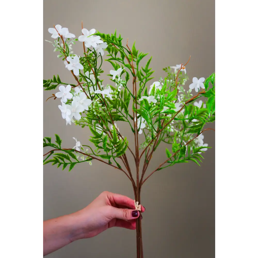 Italian White Bellflower
