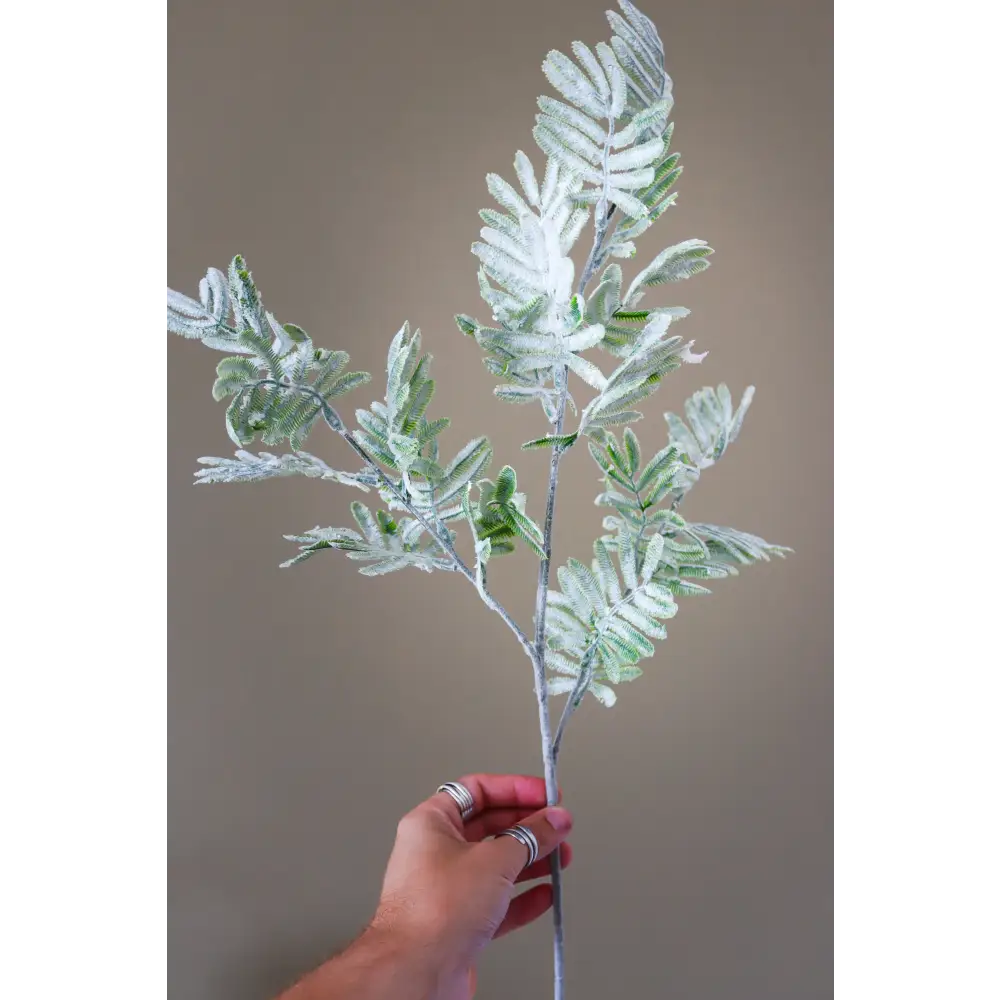 Large Bracken Fern Spray