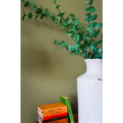 Large Cineraria Eucalyptus Spray