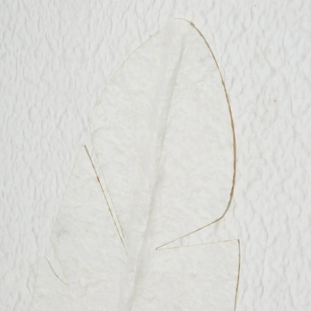 Large Quill White Feather Art Mounted In Beaded Frame