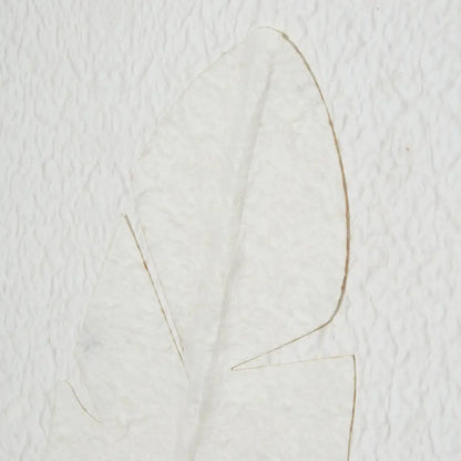 Large Quill White Feather Art Mounted In Beaded Frame