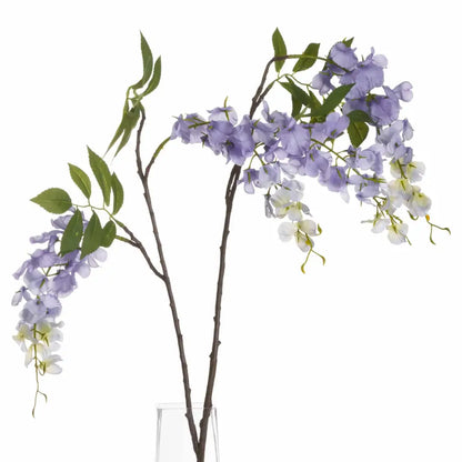 Lilac Wisteria Stem image 0