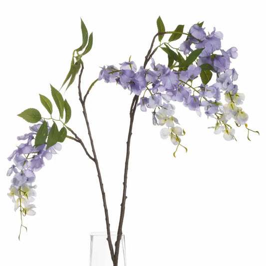 Lilac Wisteria Stem image 0