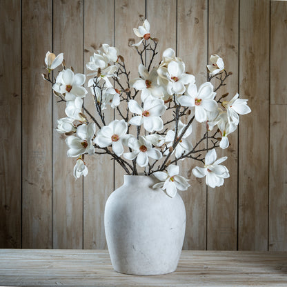 White Magnolia Branch