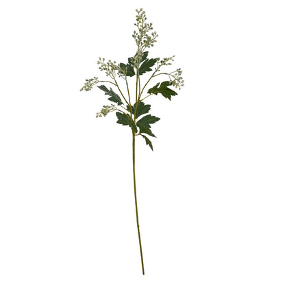 Milk Thistle Bud Spray