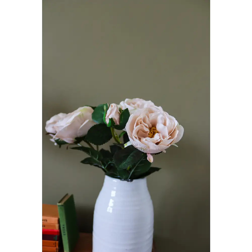 Palest Blush Charity Rose