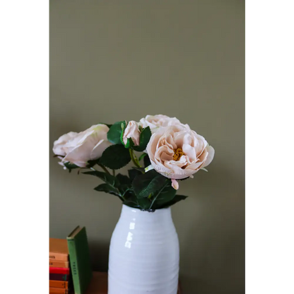 Palest Blush Charity Rose