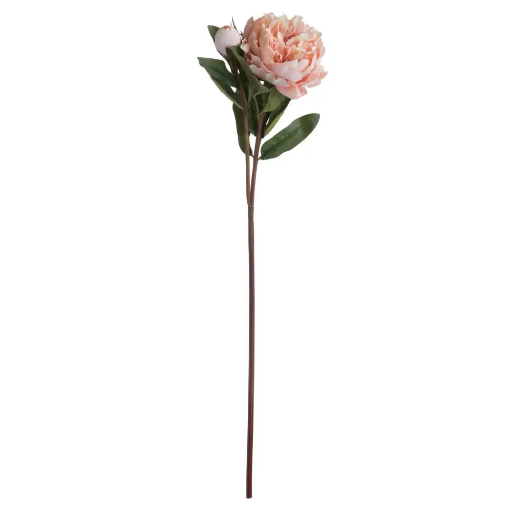 Peach Peony Rose Stem image 0