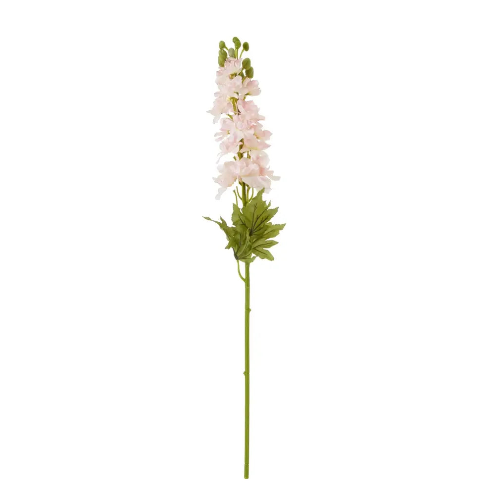 Pink Elatum Delphinium