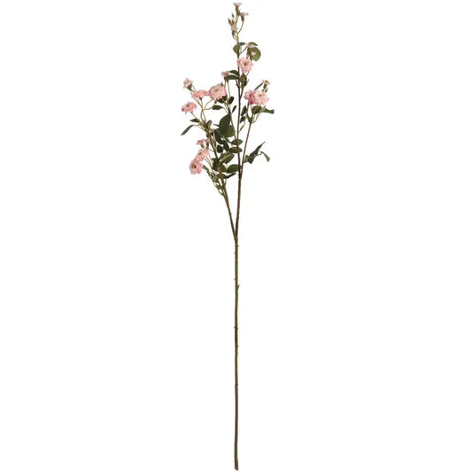 Pink Wild Meadow Rose Stem image 0