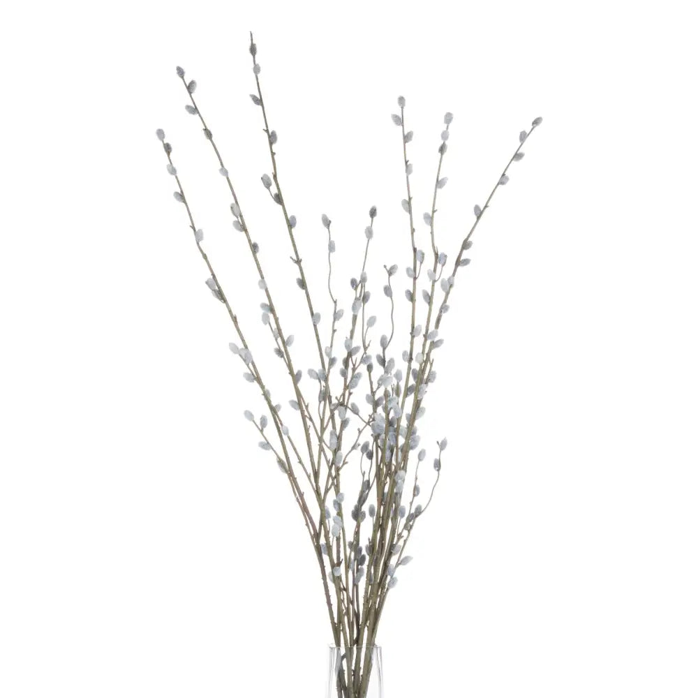 Pussy Willow Branch image 2