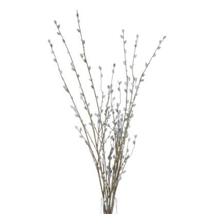 Pussy Willow Branch image 2