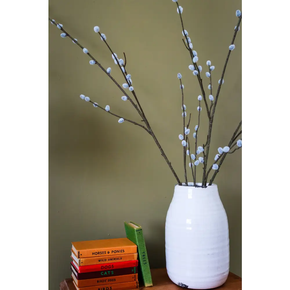 Pussy Willow Branch