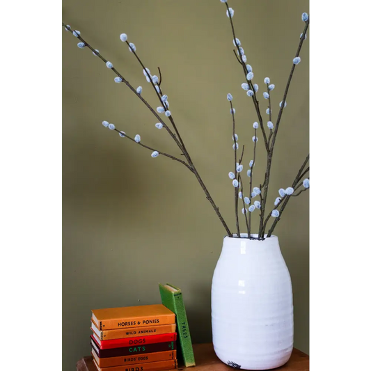 Pussy Willow Branch