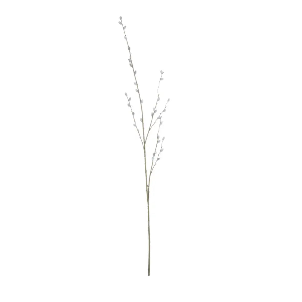 Pussy Willow Branch image 1