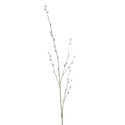 Pussy Willow Branch