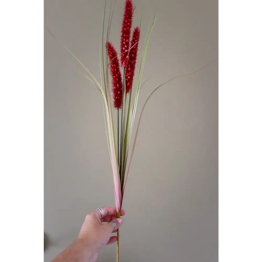 Ruby Triple Grass Stem