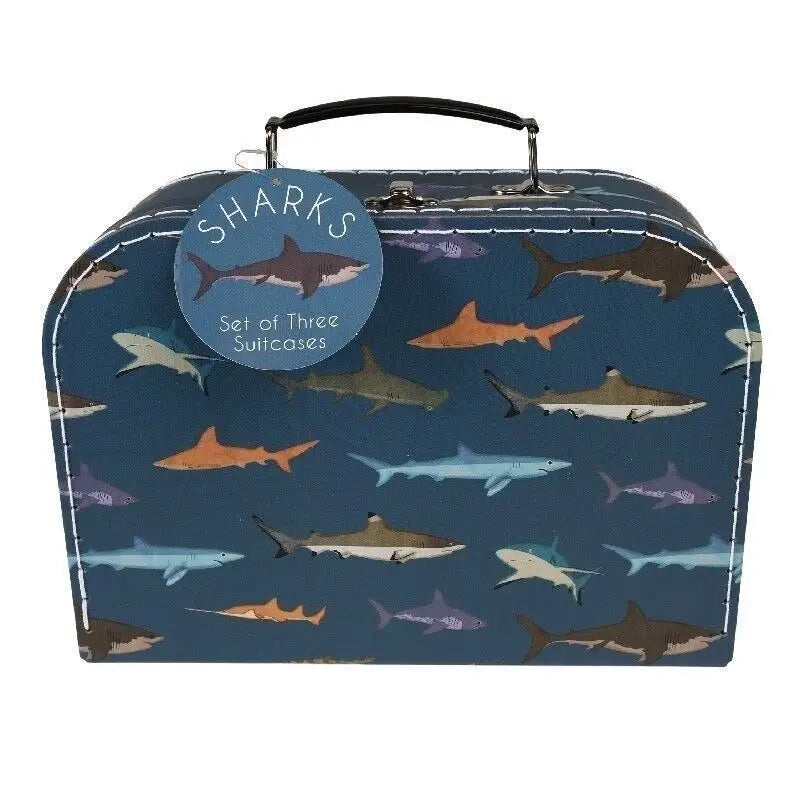 Sharks Storage Cases Set of 3